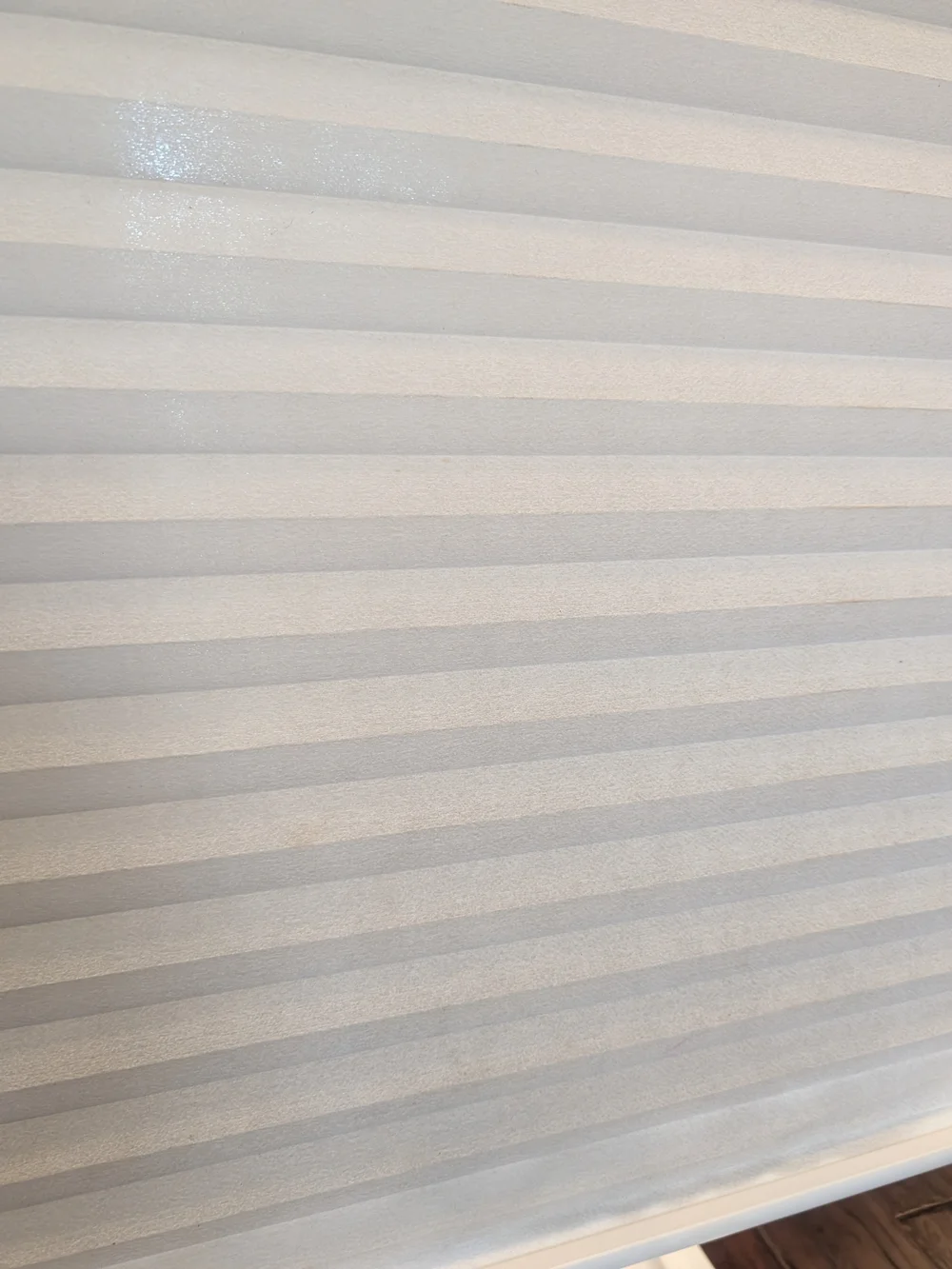 SELECT BLINDS Classic Light Filtering Cordless Cellular Shades 39.75